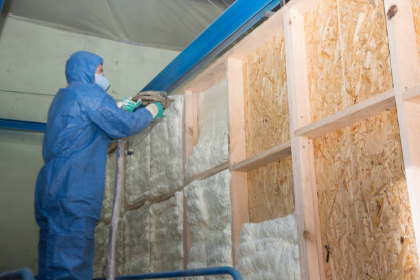 Best Insulation for New Construction  in Morton, TX